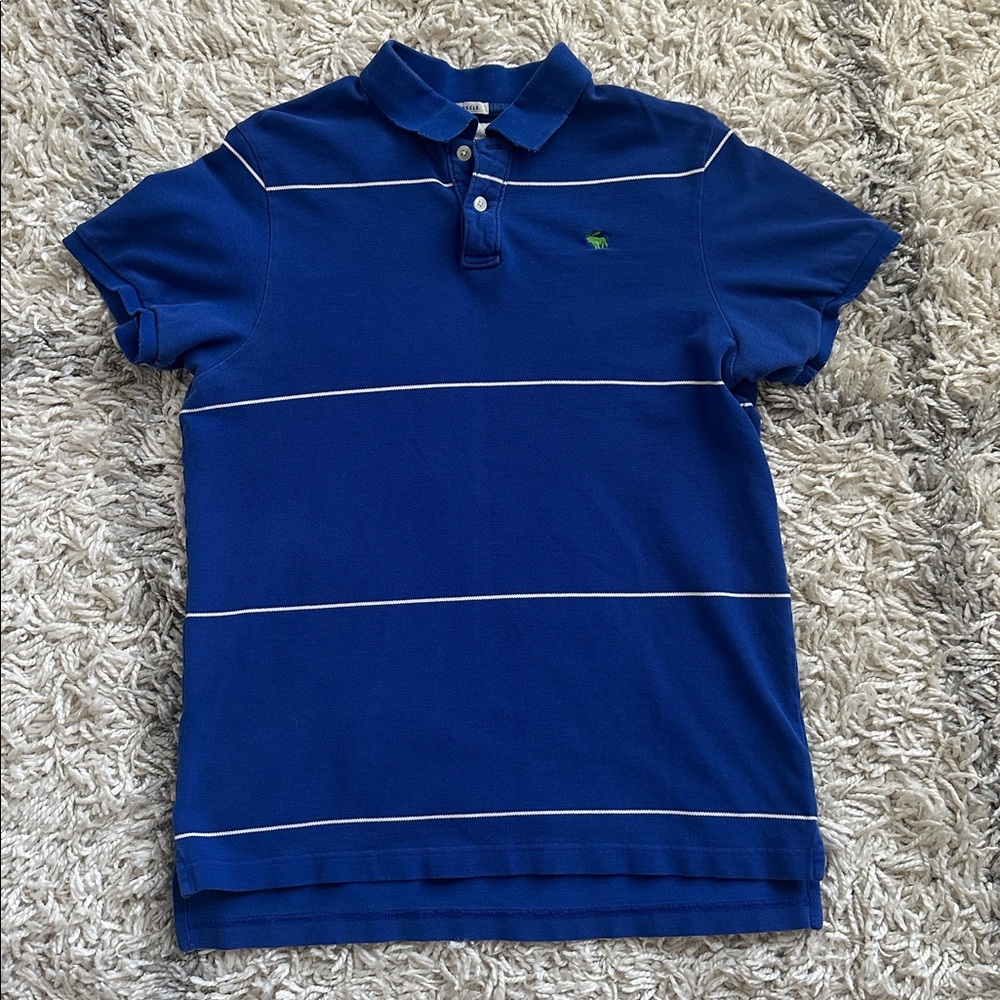 Abercrombie & Fitch Polo Shirt Blue Stripe
